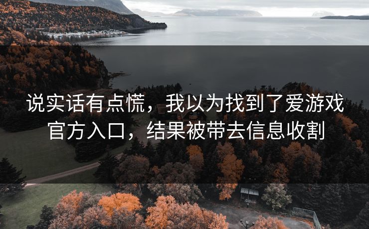 说实话有点慌,我以为找到了爱游戏官方入口,结果被带去信息收割 说实话有点慌,我以为找到了爱游戏官方入口,结果被带去信息收割