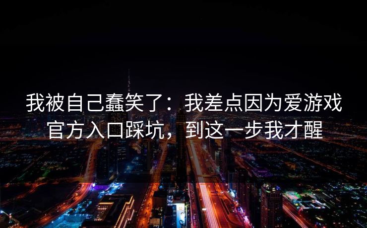 我被自己蠢笑了：我差点因为爱游戏官方入口踩坑，到这一步我才醒